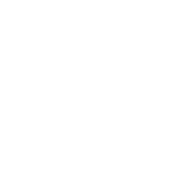 California State University logo