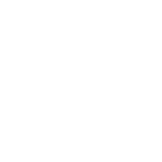 Globe Life - small light logo